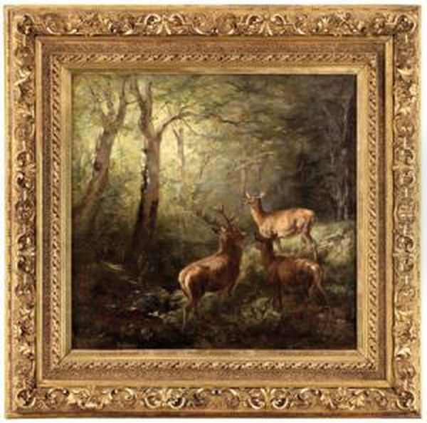Rotwildfamilie In Waldlichtung Oil Painting by Helene Paula Von Pausinger