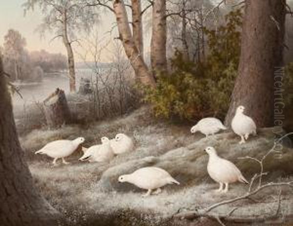 A Bevy Of Ptarmigans By The River Oil Painting by Ferdinand Wilhelm Von Wright
