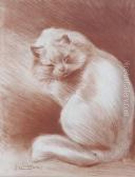 The Fly Oil Painting by Louis Wain