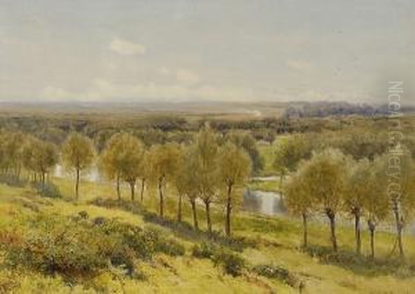'willow And Watercourses On The River Stort' 'w. Eyre Walker 1893', Titled On Label Verso Oil Painting by William Eyre Walker