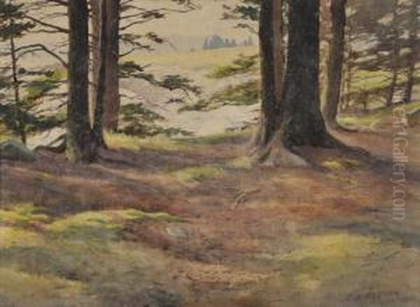 The Edge Of The Wood Oil Painting by Harold Broadfield Warren