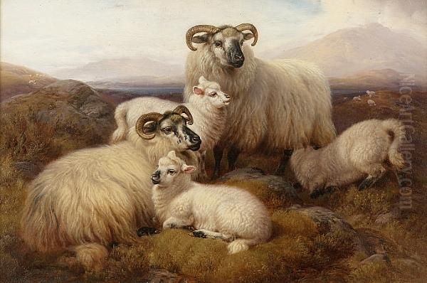 Sheep In The Highlands; Highland Cattle Oil Painting by William Watson