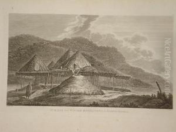 'the Natche Oil Painting by John Webber