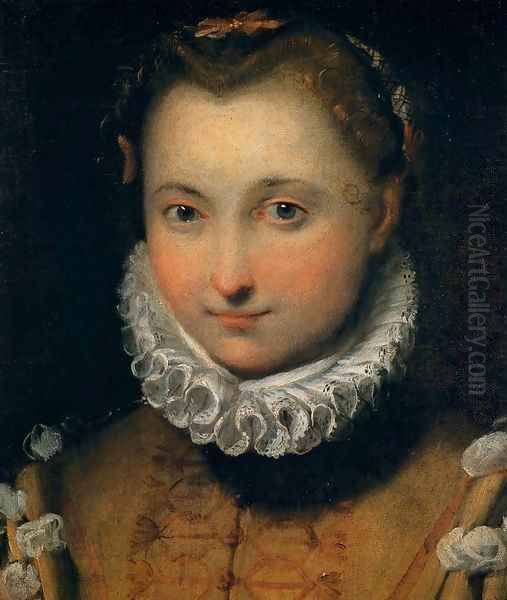 Portrait of a Young Woman Oil Painting by Federico Fiori Barocci