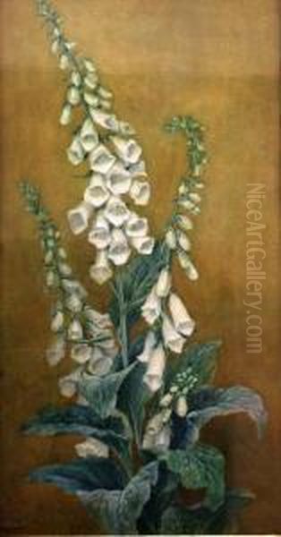 Fox Glove Oil Painting by Annie Wheeler