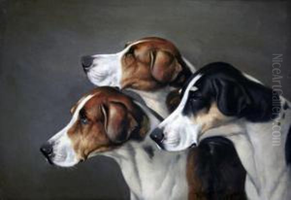 Foxhounds Oil Painting by John Alfred Wheeler