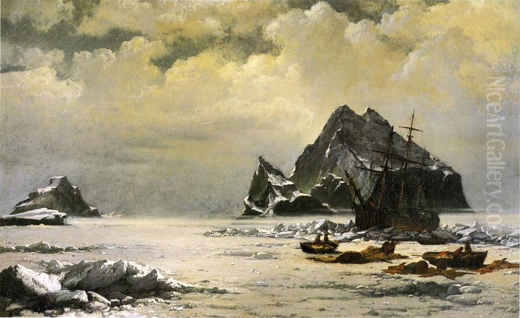 Morning On The Artic Ice Fields Oil Painting by William Bradford