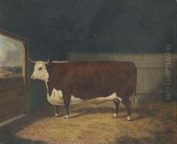 A Prize Cow In A Barn Oil Painting by Richard Whitford