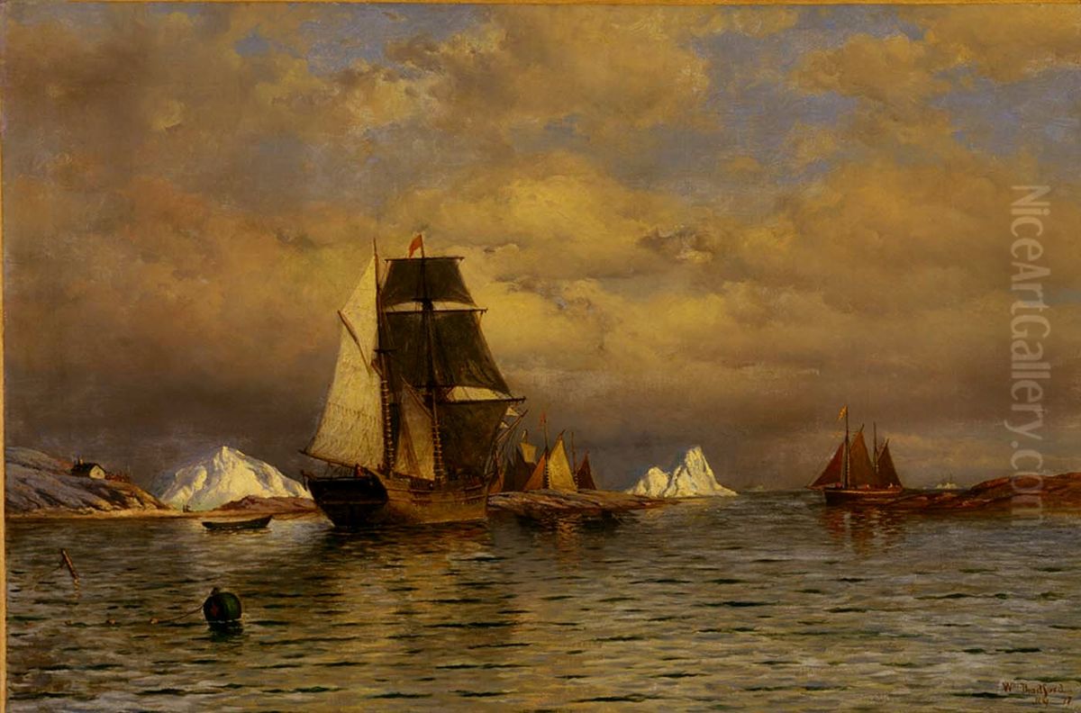 Looking out of Battle Harbor Oil Painting by William Bradford
