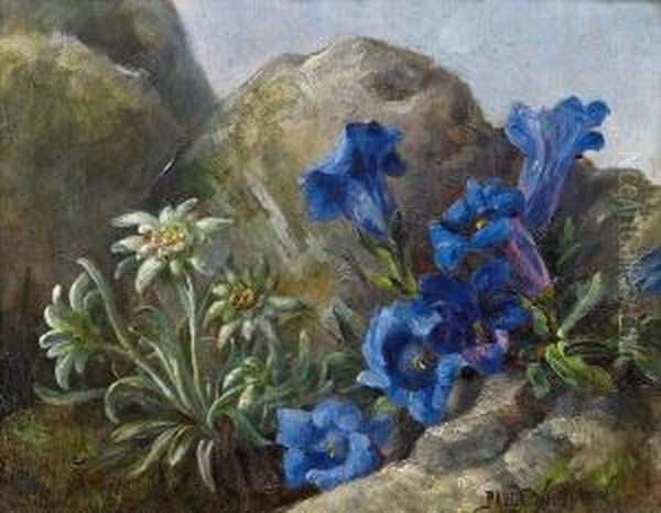 Edelweiss Und Enzian Oil Painting by Paula Wildhack