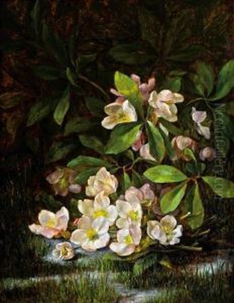 Schneerosen Oil Painting by Paula Wildhack