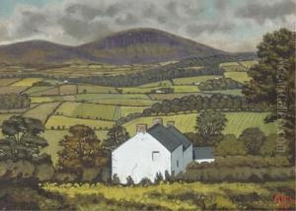 Near Kilwater, Co. Antrim Oil Painting by Alyn Williams