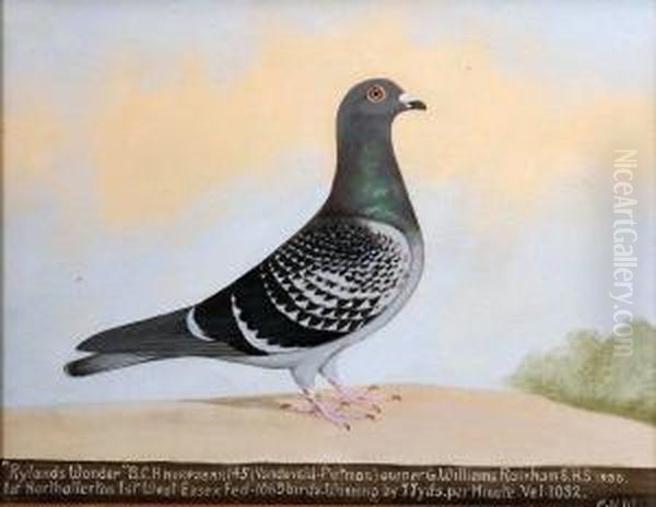 Rylands Wonder Oil Painting by Edward Henry Windred