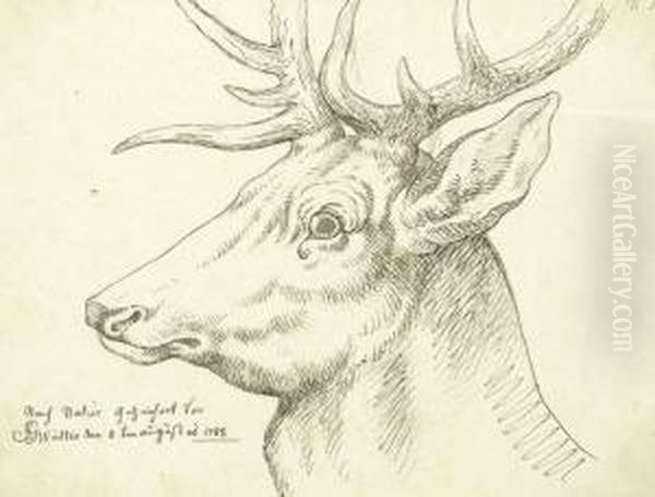 Kopf Eines Hirschen Oil Painting by Joseph Georg Winter