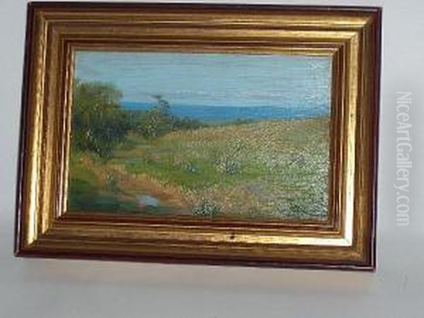 Marshy Ground Oil Painting by Donald Wood