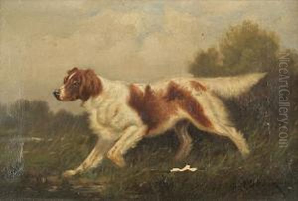 Brittany Spaniel Oil Painting by Joseph Woods