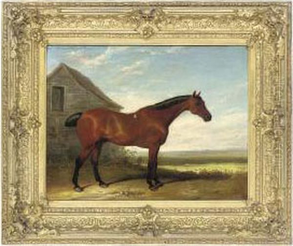 A Favourite Hunter Oil Painting by Thomas Woodward