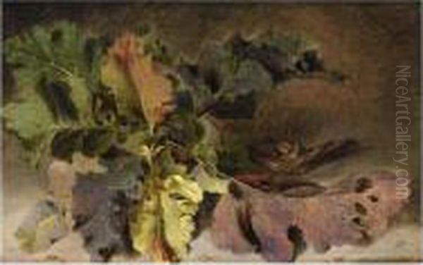 Etudes De Plantes Avec De Grandes Feuilles Oil Painting by Michael Wutky