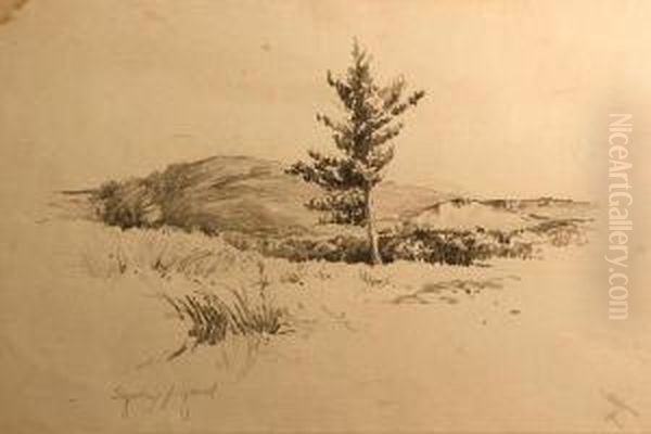 Tree With Rolling Hills Beyond Oil Painting by Sydney Jones Yard