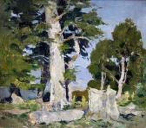 Landscape From Rodopi Mountain Oil Painting by Mario Zhekov