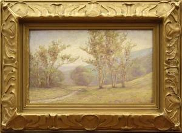 'arroyo Seco At Pasadena Oil Painting by Carl Zimmerman