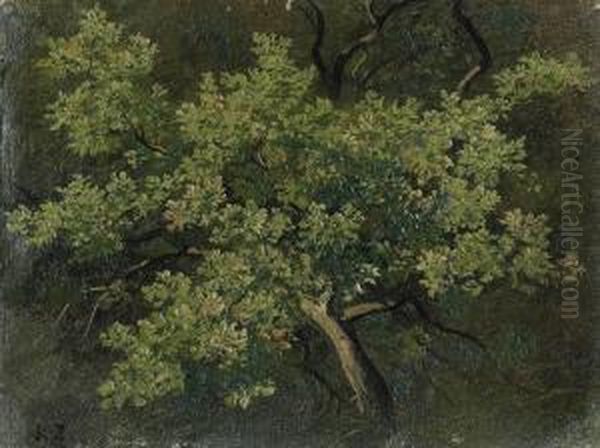 Baumstudie Oil Painting by Robert Zund