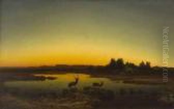 Hirsche In Abendlicher Moorlandschaft. Oil Painting by Anton Georg Zwengauer