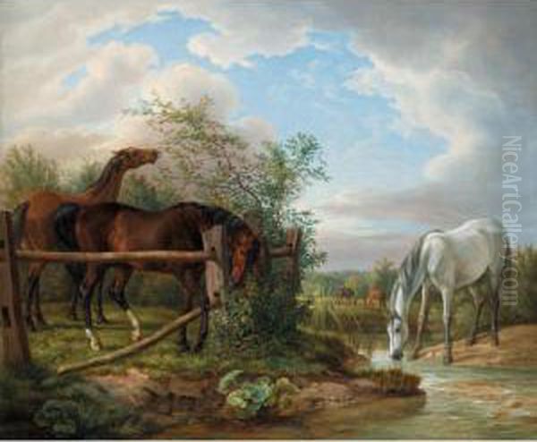 Vollbluter Auf Der Koppel (thoroughbreds In A Paddock) Oil Painting by Adam Albrecht