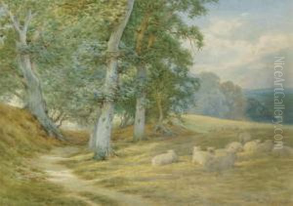 Herding Sheep Along A Surrey 
Lane In Autumn; And Sheep Resting By A Woodland Path (illustrated) Oil Painting by Charles James Adams