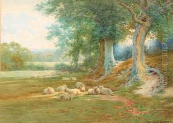 Sheep Resting Beneath The Trees; And Feeding The Sheep Oil Painting by Charles James Adams