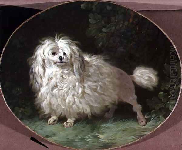 Portrait of a Poodle Oil Painting by Jean Jacques Bachelier