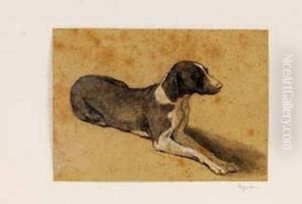 Etude D'un Braque Oil Painting by Jacques Laurent Agasse