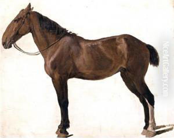 Portrait Of A Horse Oil Painting by Jacques Laurent Agasse