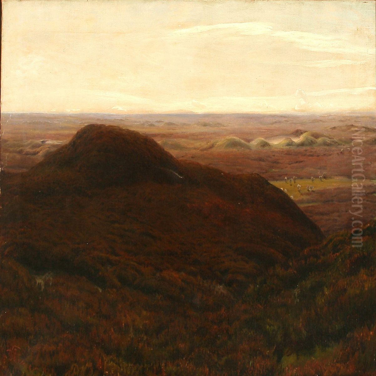 Moor Landscape Withgrazing Sheep Oil Painting by Hans Agersnap