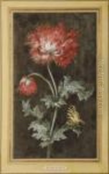 Pavot Oil Painting by Christophe-Ludwig Agricola