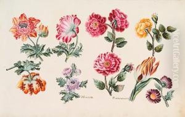 An Album Of Watercolour Flowers 
Titled 