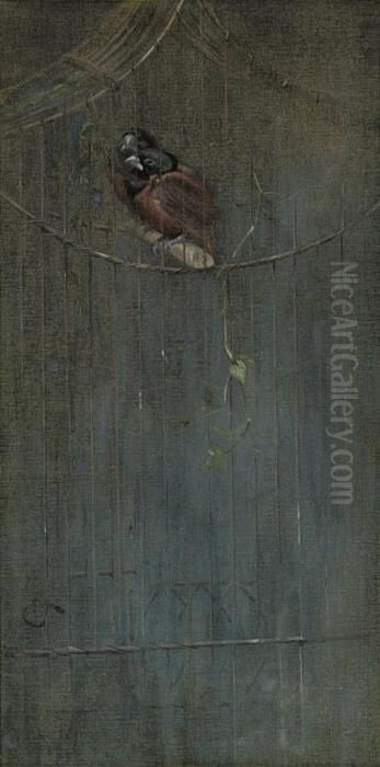 Two Black Hooded Nun Finches In An Aviary Oil Painting by Edwin Alexander