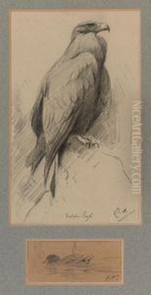 Study Of A Golden Eagle And A Mallard Oil Painting by Edwin Alexander