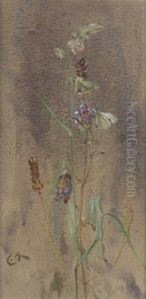 Prunella And White Butterfly Oil Painting by Edwin Alexander