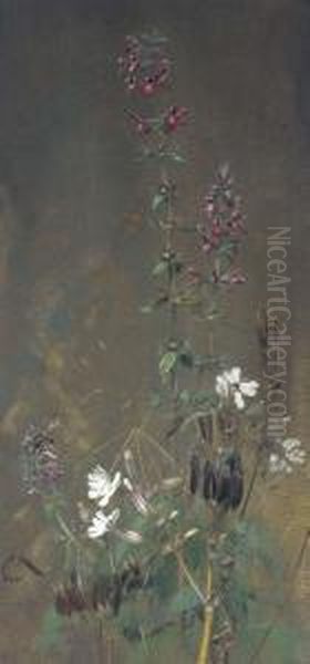 Woundwort Oil Painting by Edwin Alexander