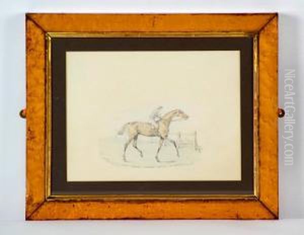 A Study Of The Racehorse Eclipse Oil Painting by Henry Jr Alken