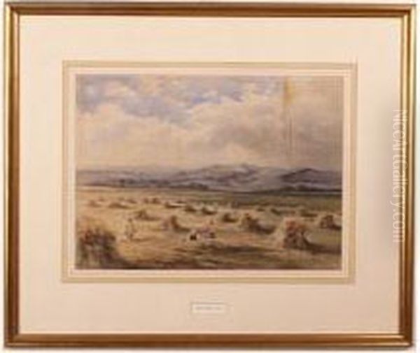 Cornfield, Some Surface Staining Oil Painting by Charles Frederick Allbon