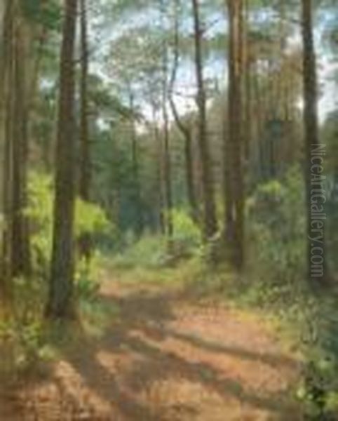 Waldinneres, Misdroy. Ol Auf 
Malkarton. 43 X 34,5 Cm. Um 1870. Links Unten Bezeichnet 