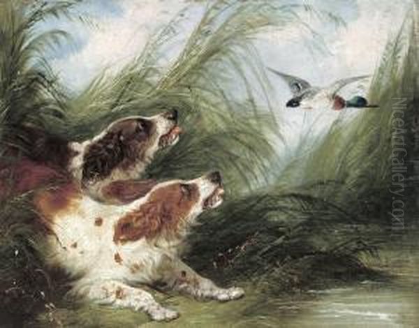 Spaniels Surprising A Duck Oil Painting by George Armfield