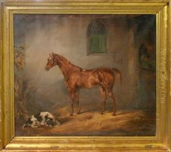 Stallinterior Med Hastar. A 
Tergo 