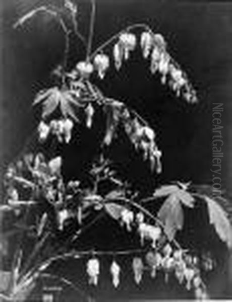 Bleeding Heart Oil Painting by Charles Aubry