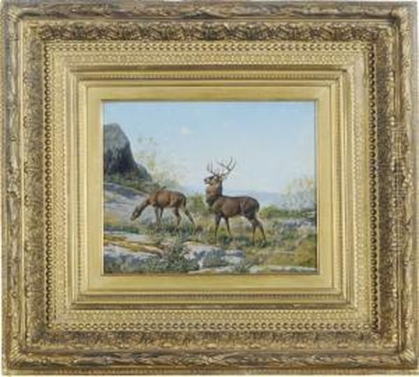 Doe And A Stag Oil Painting by William Baptiste Baird