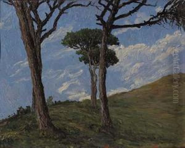 Paesaggio Oil Painting by Guglielmo Baldassini