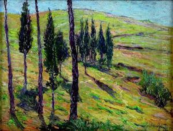 Paesaggio Oil Painting by Guglielmo Baldassini