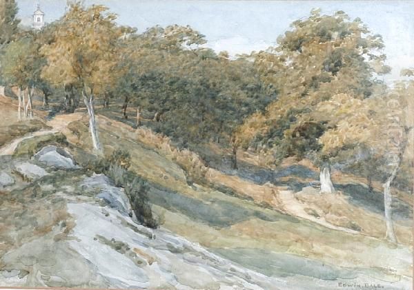 Landscape With Trees Oil Painting by Edwin Bale